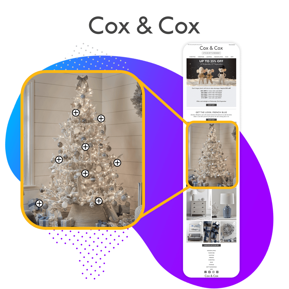 Cox and cox feature image