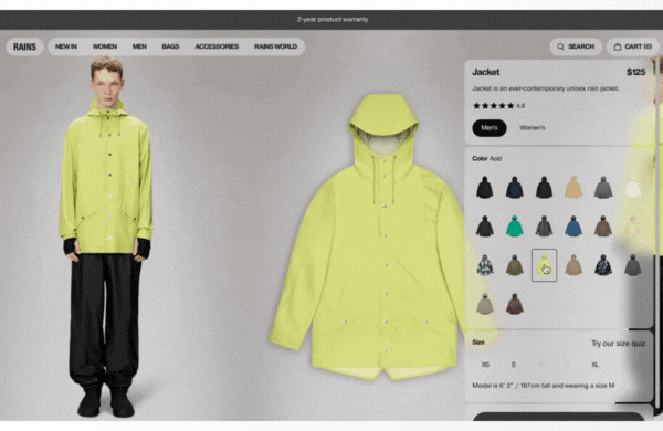 rainsDESIGN