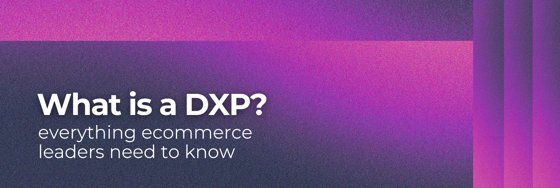 What is a DXP? Your Shortcut to Speed, Simplicity, and Growth