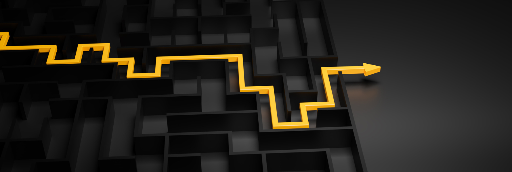Shortening the Path to Purchase: Adding Value Through Disruption